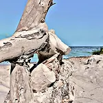 Fontana Ghibellina * Iglesias